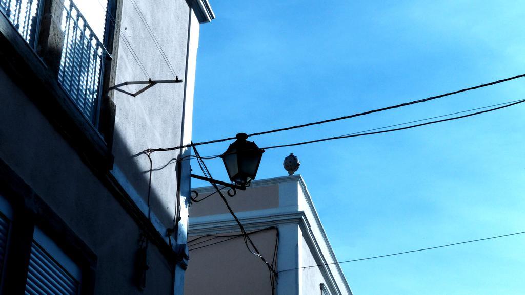 The Back Yard Nest Apartment Lisbon Ruang foto