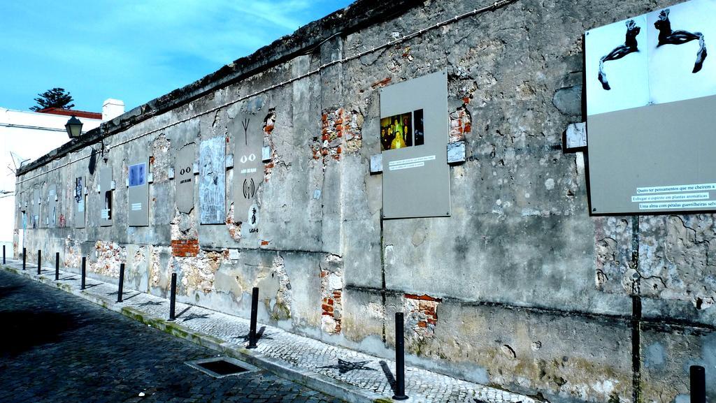 The Back Yard Nest Apartment Lisbon Ruang foto