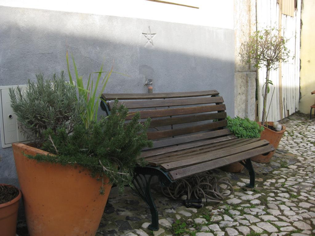 The Back Yard Nest Apartment Lisbon Ruang foto